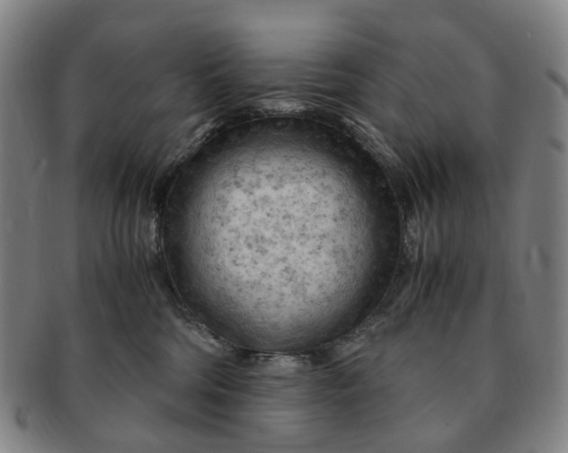 X0000091010330200708241518