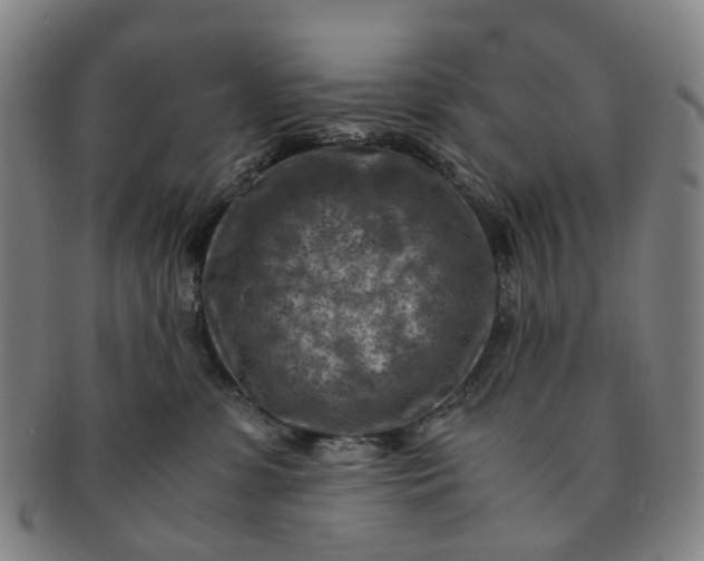 X0000091010331200708241518