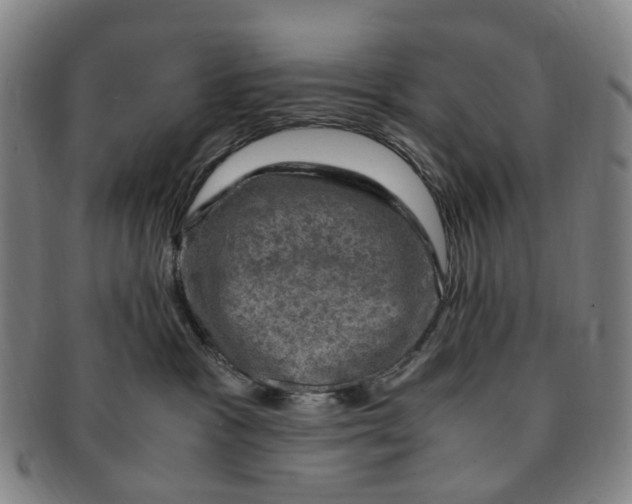 X0000091010333200708241518