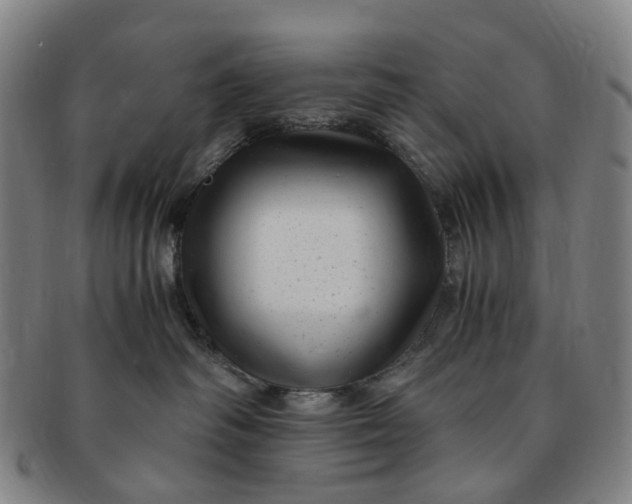 X0000091010334200708241518