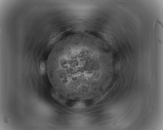 X0000091010335200708241518