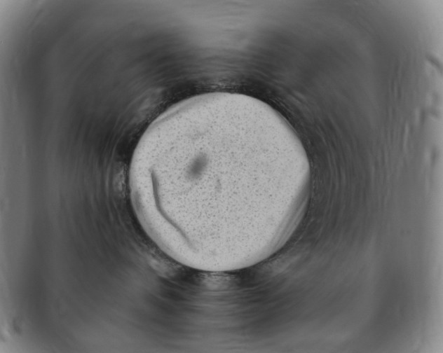 X0000091010336200708241518