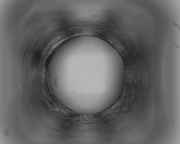 X0000091010338200708241517