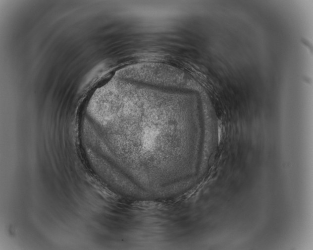 X0000091010339200708241517