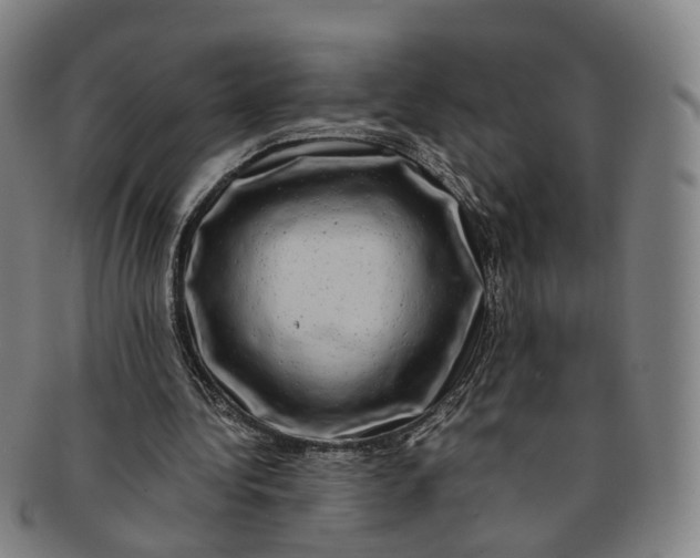 X0000091010340200708241517