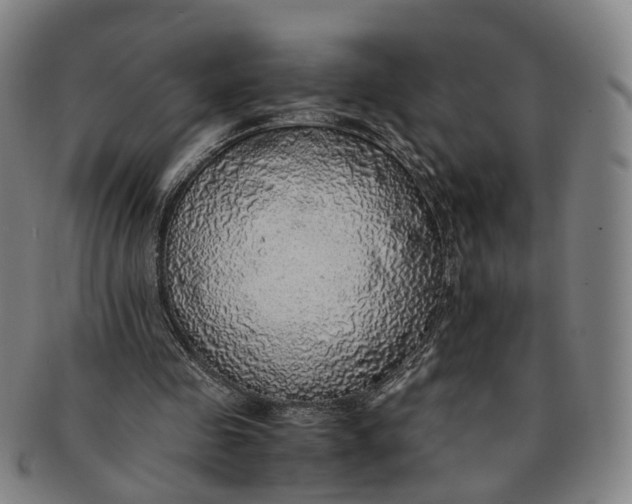 X0000091010341200708241517