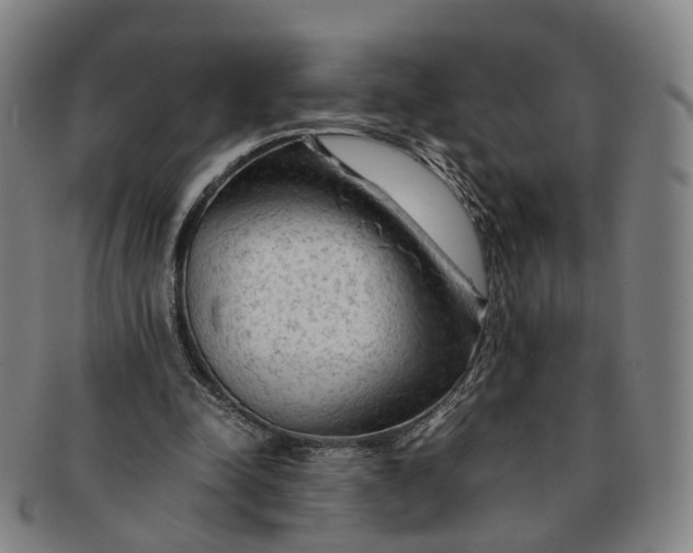 X0000091010342200708241517