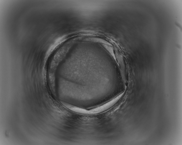 X0000091010343200708241517