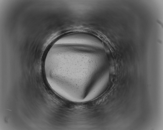 X0000091010344200708241517