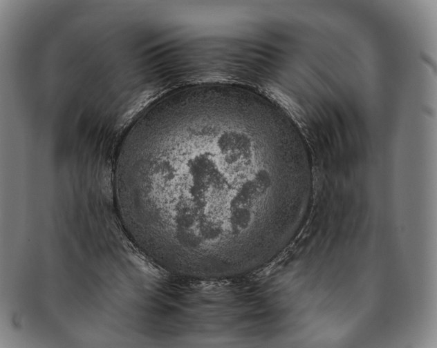 X0000091010345200708241517