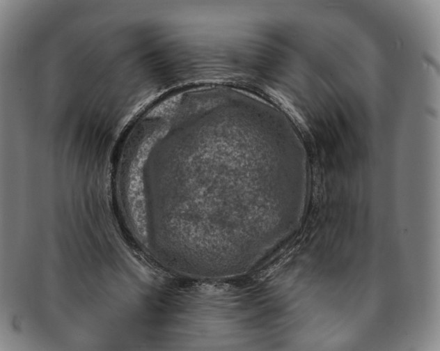 X0000091010346200708241517