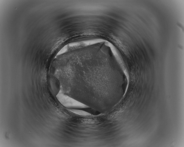 X0000091010347200708241517