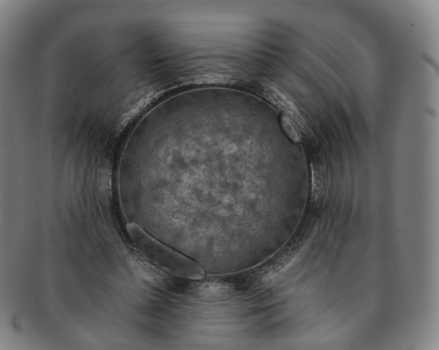 X0000091010348200708241517