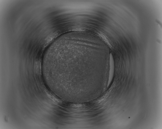 X0000091010349200708241517