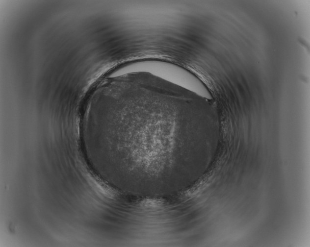 X0000091010350200708241517