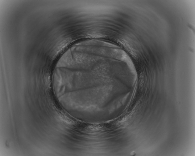 X0000091010351200708241517