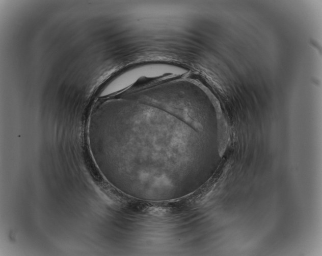 X0000091010352200708241517