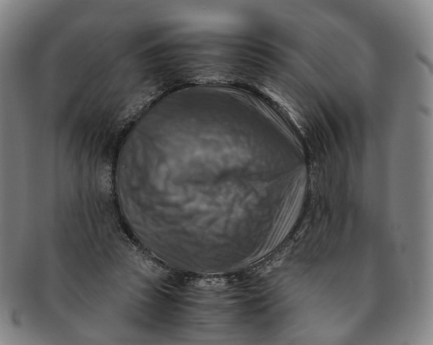 X0000091010353200708241517