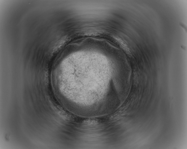 X0000091010354200708241517