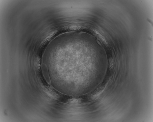 X0000091010356200708241517