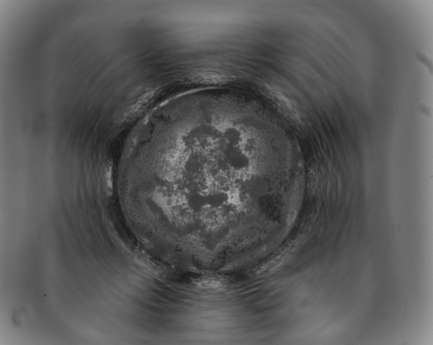 X0000091010358200708241517