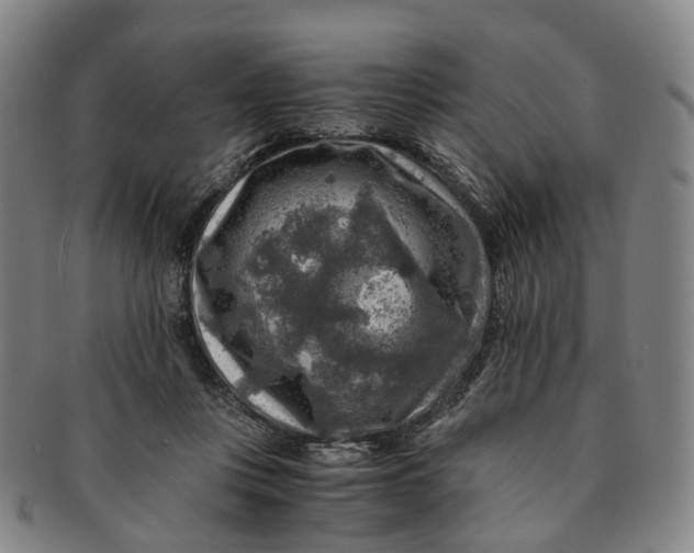 X0000091010359200708241517