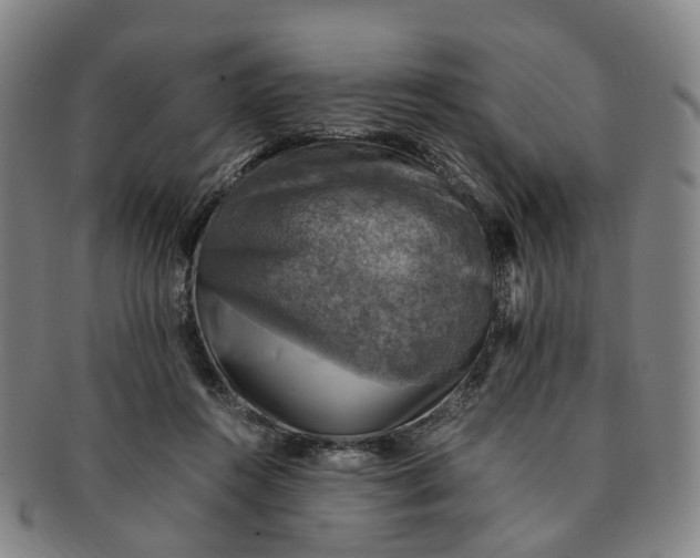 X0000091010360200708241517