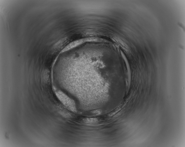 X0000091010361200708241517