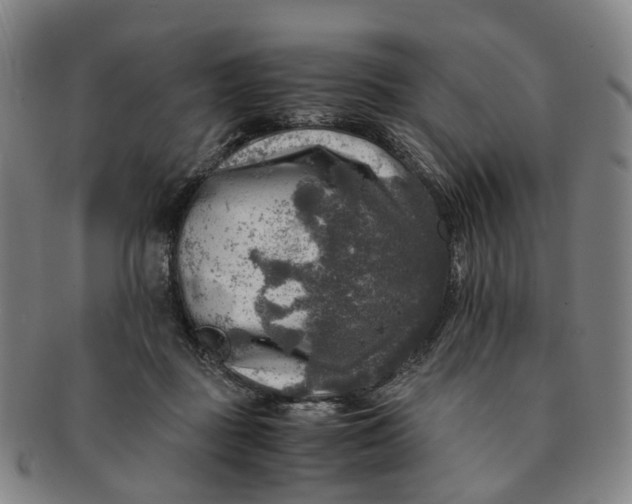 X0000091010363200708241518