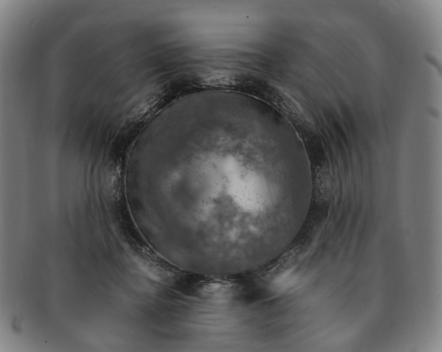 X0000091010364200708241518