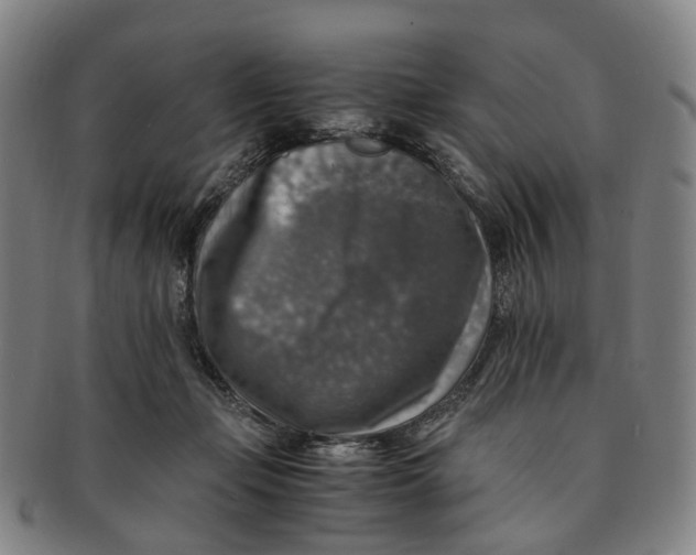 X0000091010365200708241518