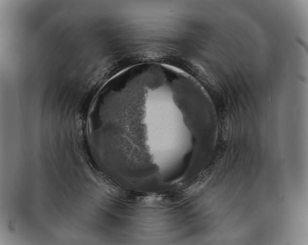 X0000091010366200708241518