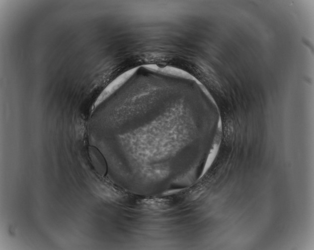 X0000091010367200708241518