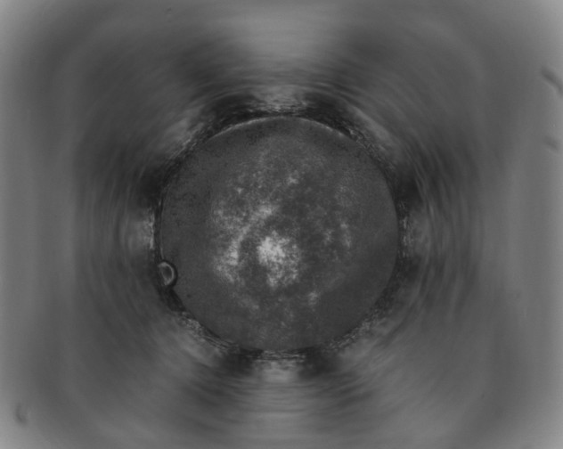 X0000091010368200708241518