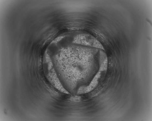 X0000091010369200708241518