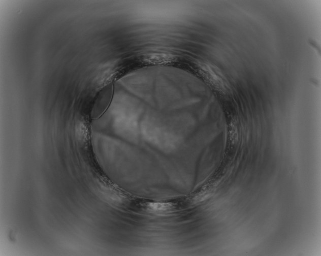 X0000091010371200708241518