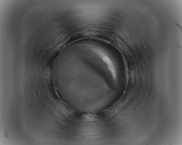 X0000091010372200708241518