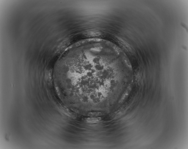 X0000091010373200708241518