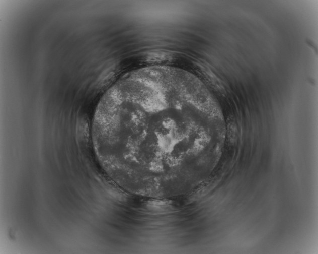 X0000091010375200708241518