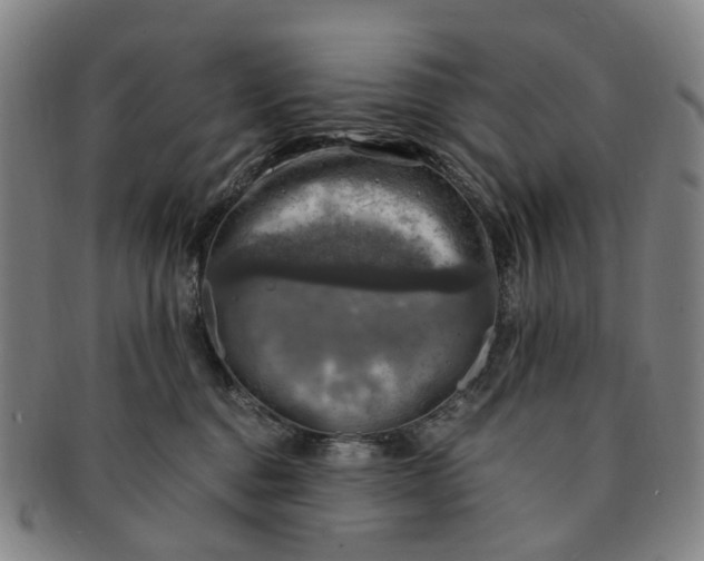 X0000091010376200708241518