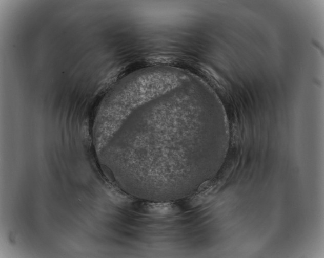 X0000091010377200708241518