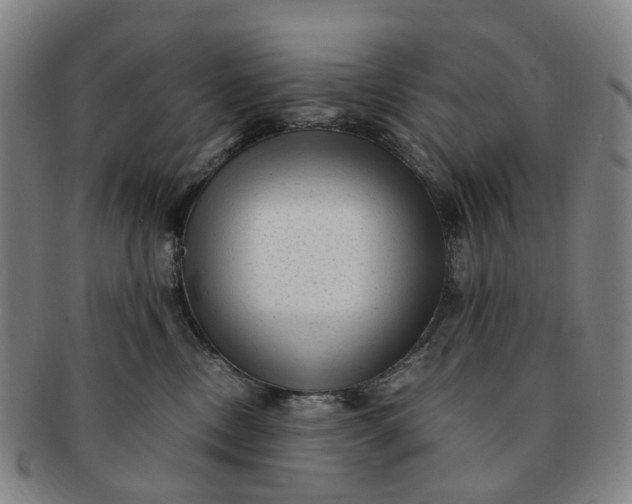 X0000091010378200708241518