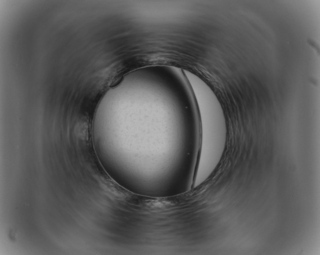 X0000091010379200708241518