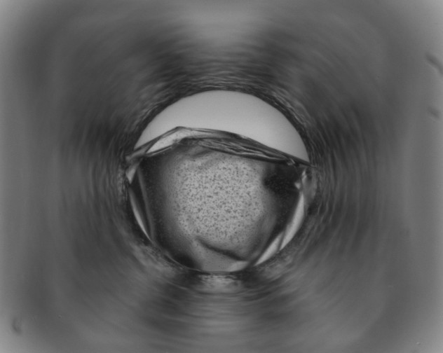 X0000091010380200708241518