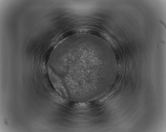 X0000091010381200708241518