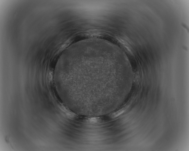 X0000091010382200708241518