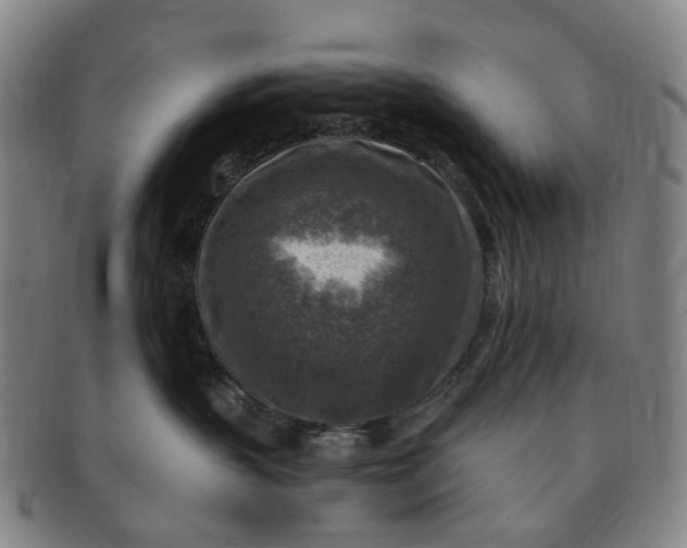 X0000091010383200708241518