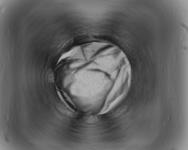 X0000091010384200708241518