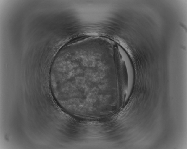 X0000091010385200708241517