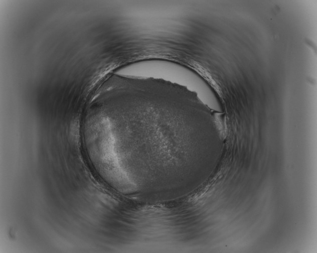 X0000091010386200708241517